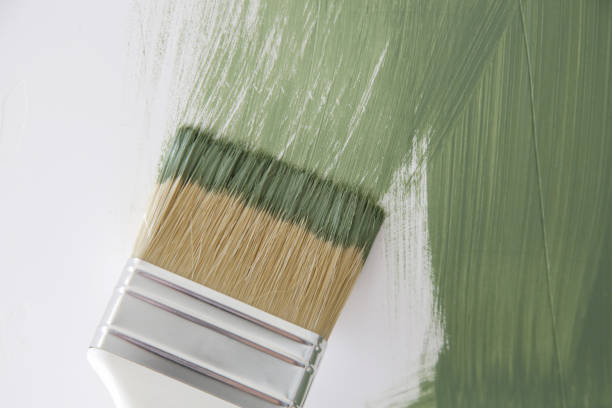 Best Water Damage & Mold Remediation  in Malvern, OH