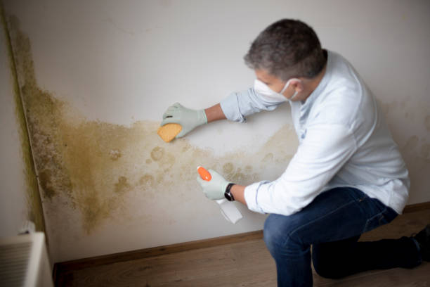 Best Post-Remediation Verification Testing  in Malvern, OH