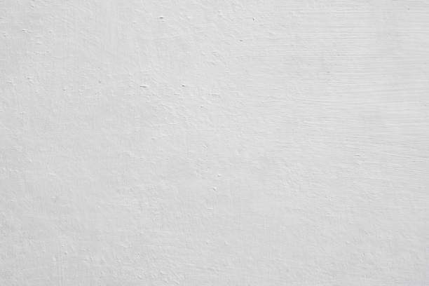 Best Attic Mold Removal  in Malvern, OH